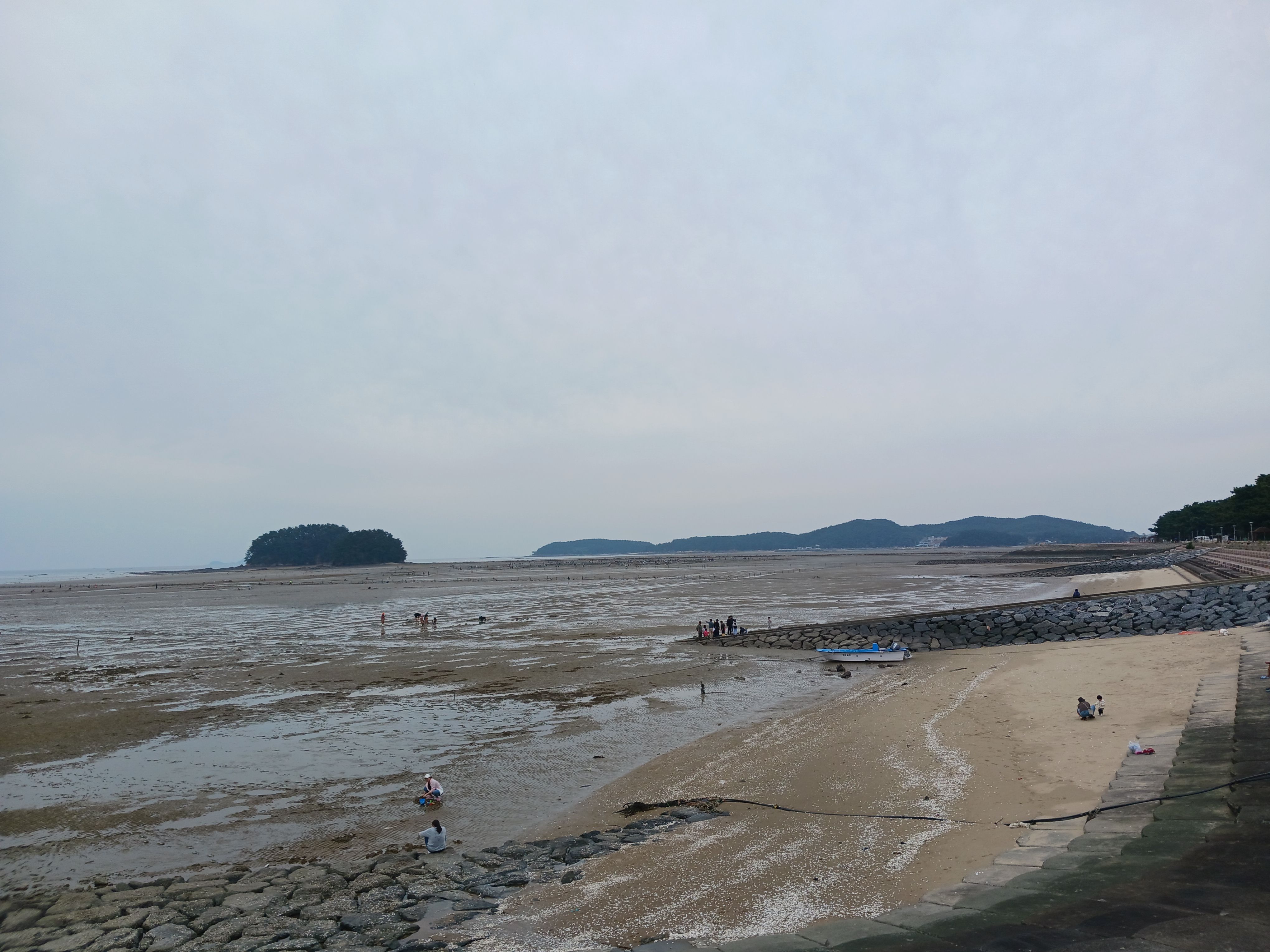 서천갯벌