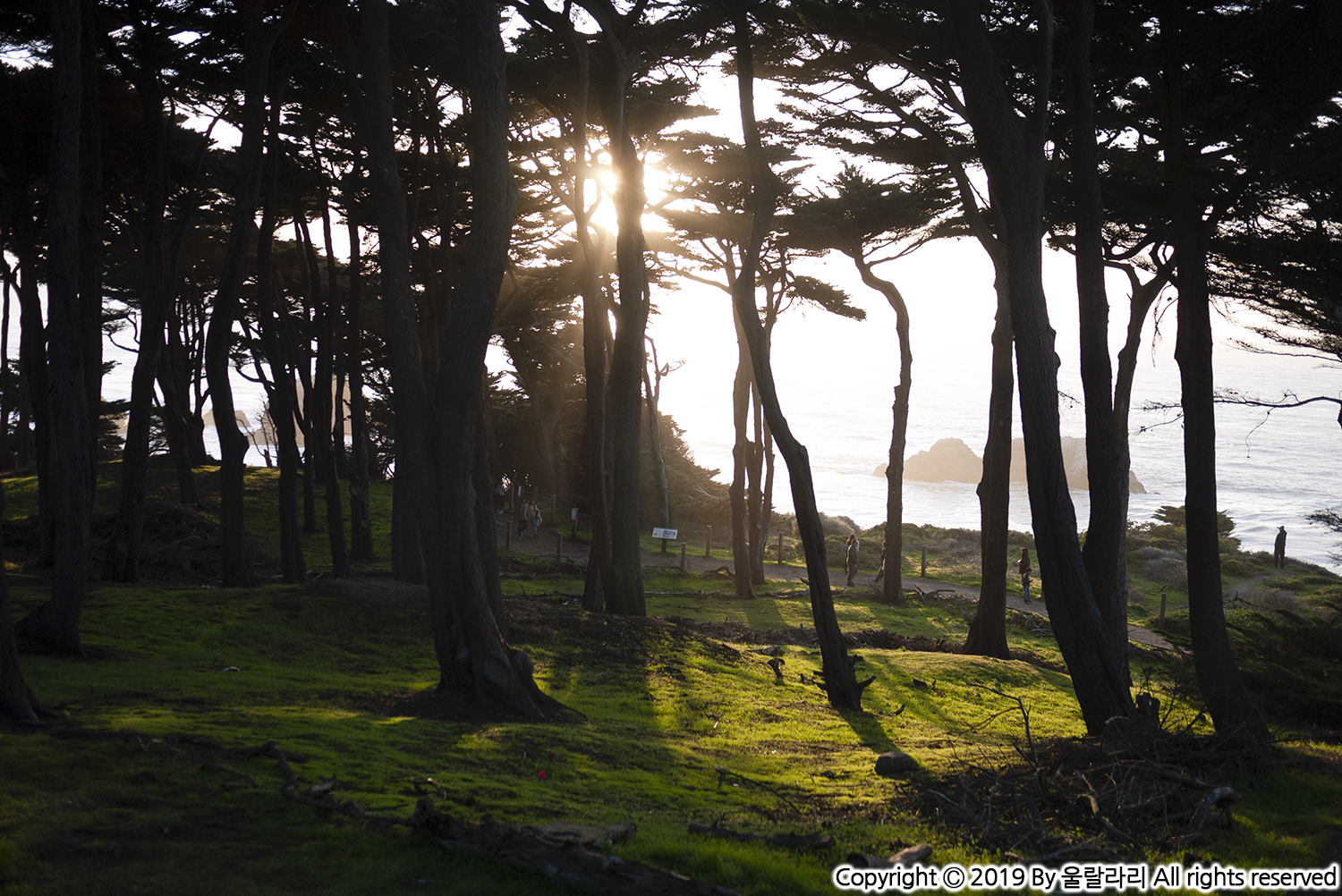 샌프란시스코 땅끝 마을 랜즈 엔드 LANDS END TRAIL