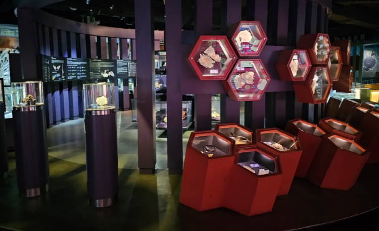 우석헌 자연사박물관