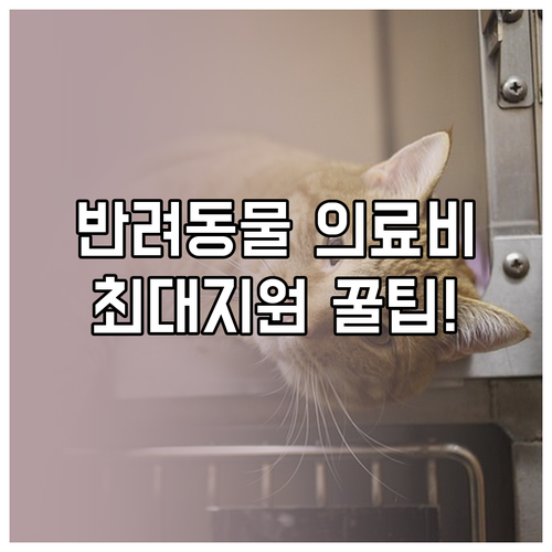 내 맞춤 혜택 보조금24 반려동물 의..