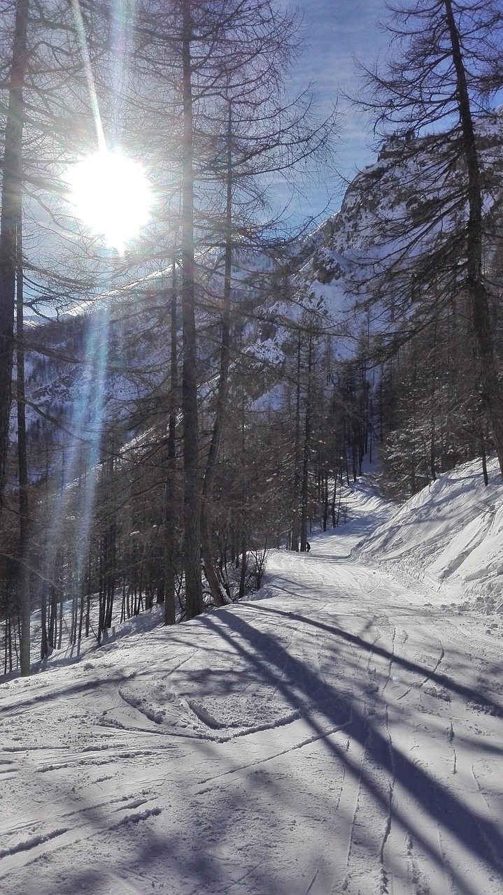 영화 "이터널 선샤인" 이미지 컷