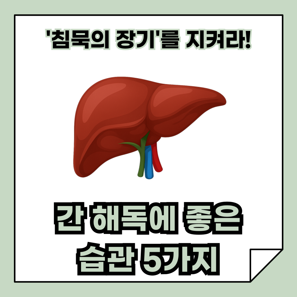 간 해독에 좋은 습관 5가지 ❘ 침묵의 장기를 지키는 건강 생활 습관 꿀팁