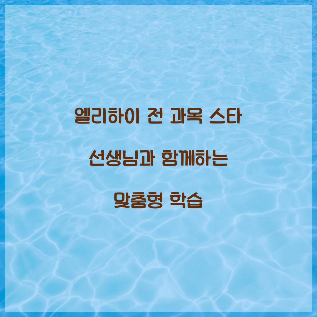 엘리하이 전 과목 스타 선생님