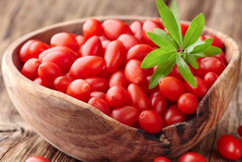 발효구기자 효능 및 부작용 / 복용법