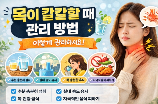 목이 칼칼할 때 관리 방법 수분 섭취 습도 유지 목 건강 관리법을 설명한 이미지