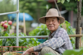 2024 노인 일자리 신청 사업