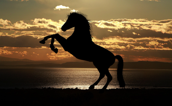 말죽거리 뜻, 유래, 오늘날의 말죽거리