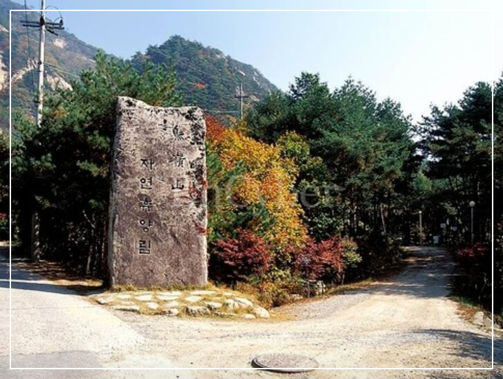 문경 가볼만한곳 베스트10 조령산자연휴양림