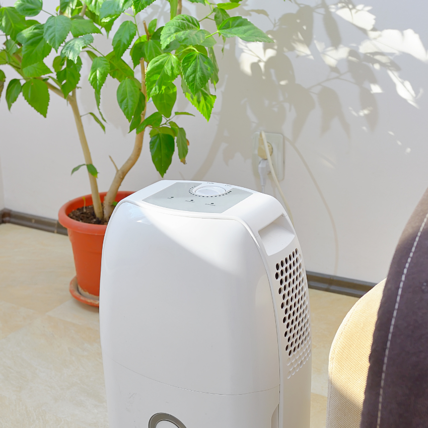 제습기 vs 습기제거제_13