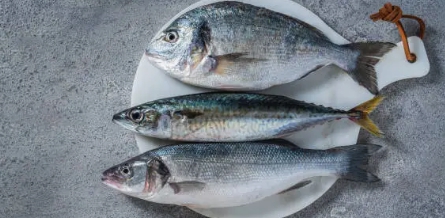 알티지 오메가3