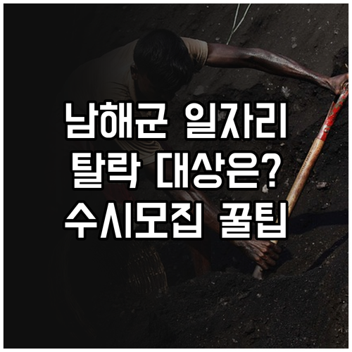 남해군 노인 일자리 참여 제외 대상 ..