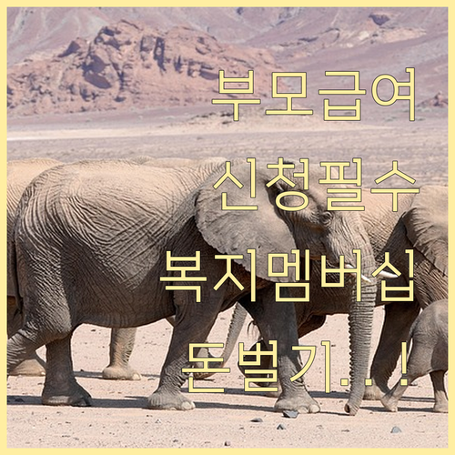 복지로를 통한 부모급여 신청 및 복지..