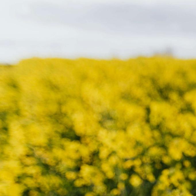 2025 서울 청년 월세 지원 혜택 총정리 &ndash; 타지역과 차이점은