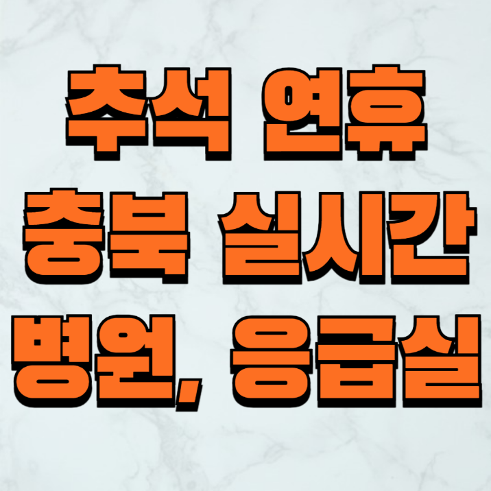 충북 추석 연휴 응급실 병원 약국 실시간 가까운위치