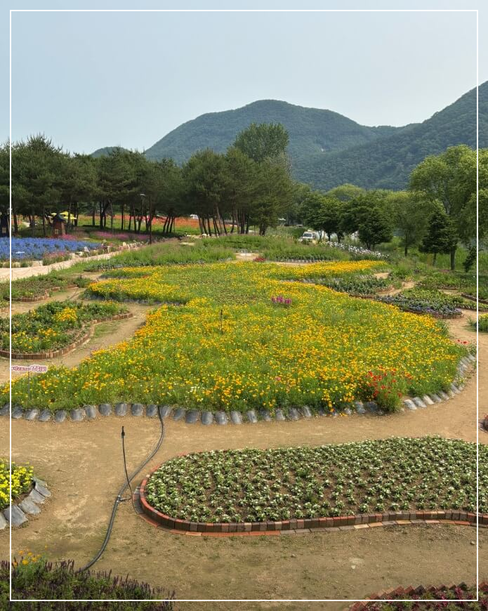 가평 가볼만한곳 베스트10 자라섬 남도꽃정원