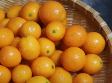 금귤보관하는법