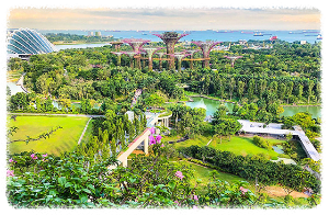 가든스 바이 더 베이