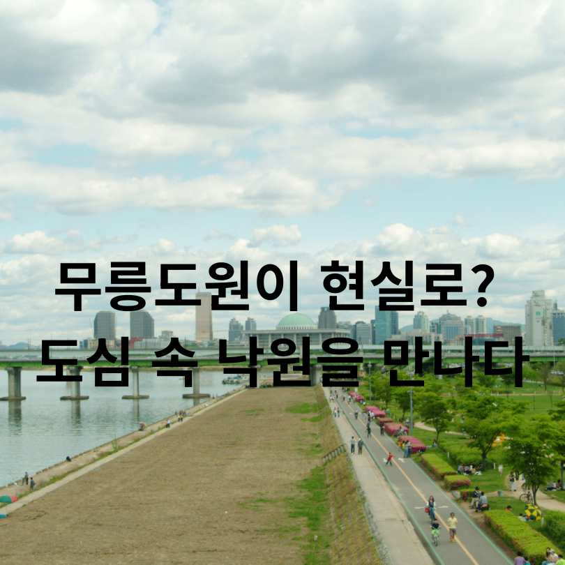 2025 한강 무릉도원 축제 완벽 가이드