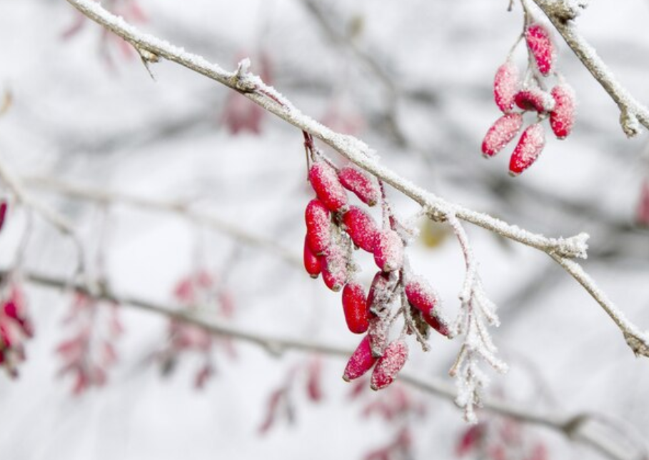 2024년 2월 지역별 날씨 전망