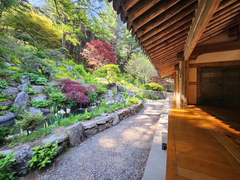 아침고요수목원 입장료, 방문기