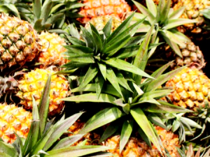 파인애플