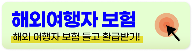 항공권 가격비교사이트