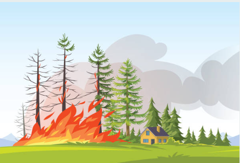 산불재난지원금