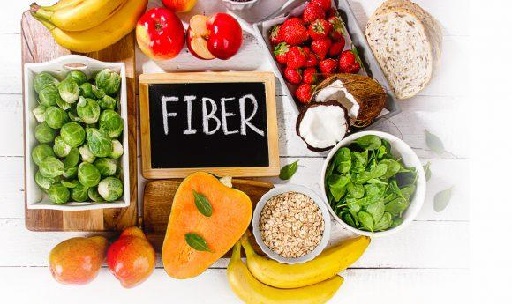 식이섬유와 장 건강 글의 이해를 위한 이미지