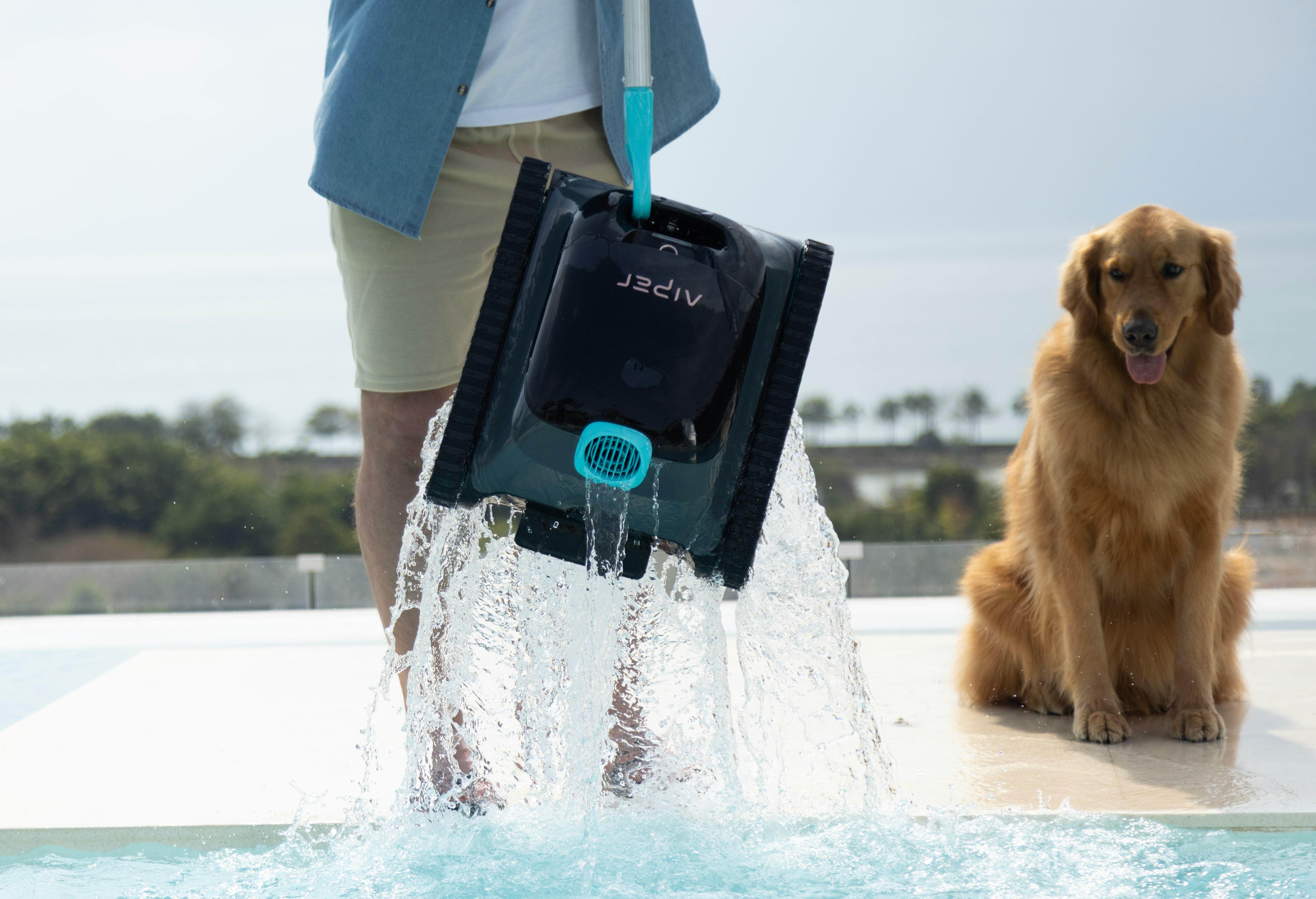  2026 강아지 나이 계산기