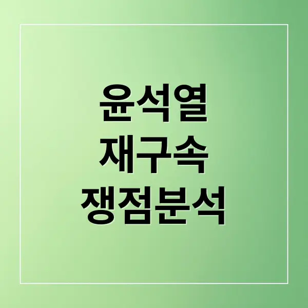 윤석열 재구속 심층 분석