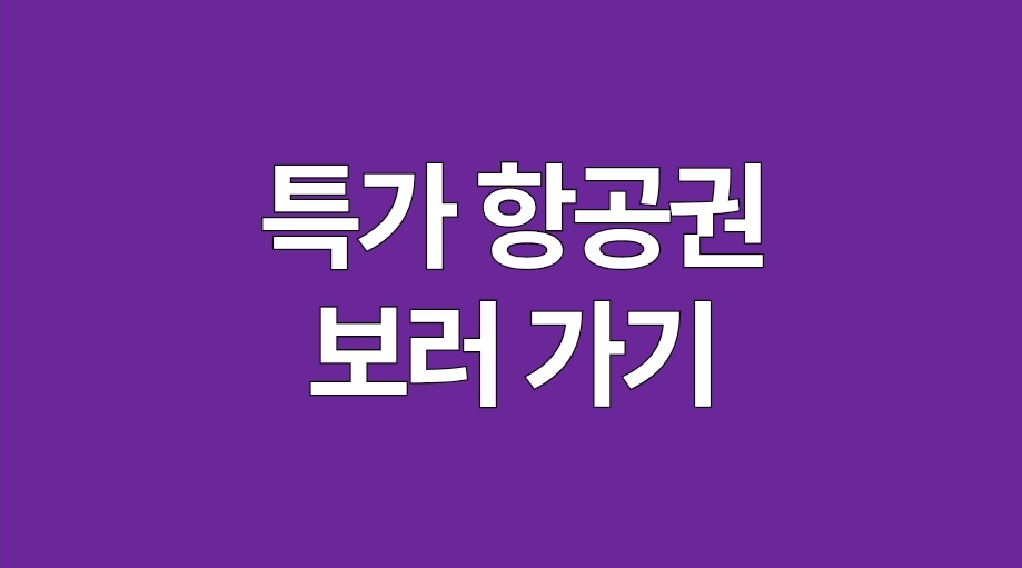 특가 항공권
