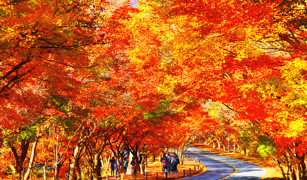 정읍 내장산국립공원