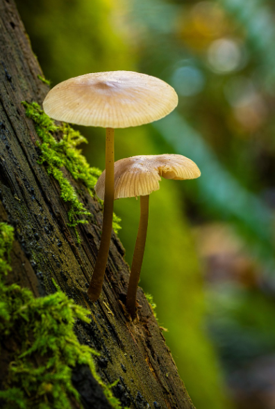 대성서비스센터