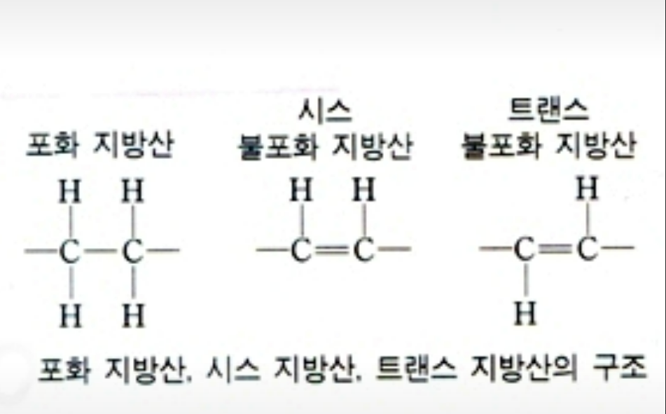 불포화지방산