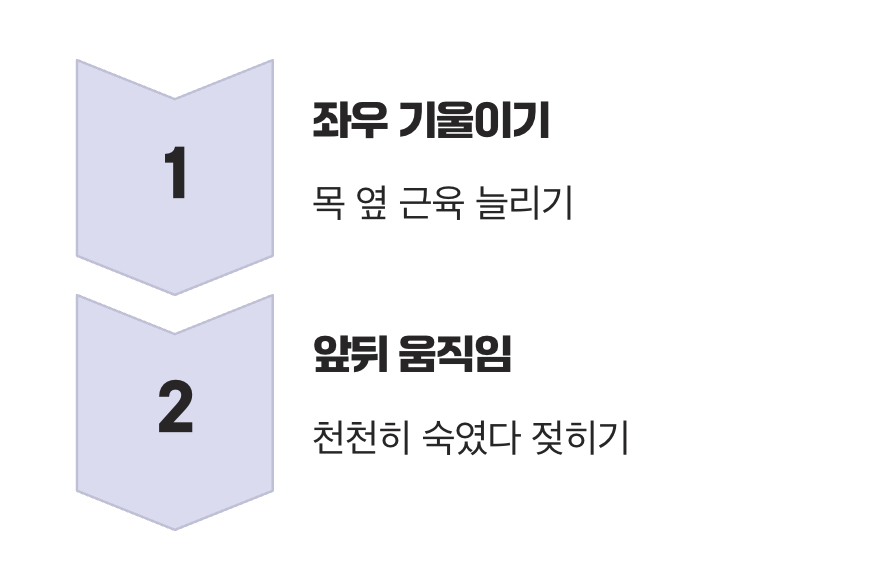 진짜 원인은 따로 있다, 목 스트레칭