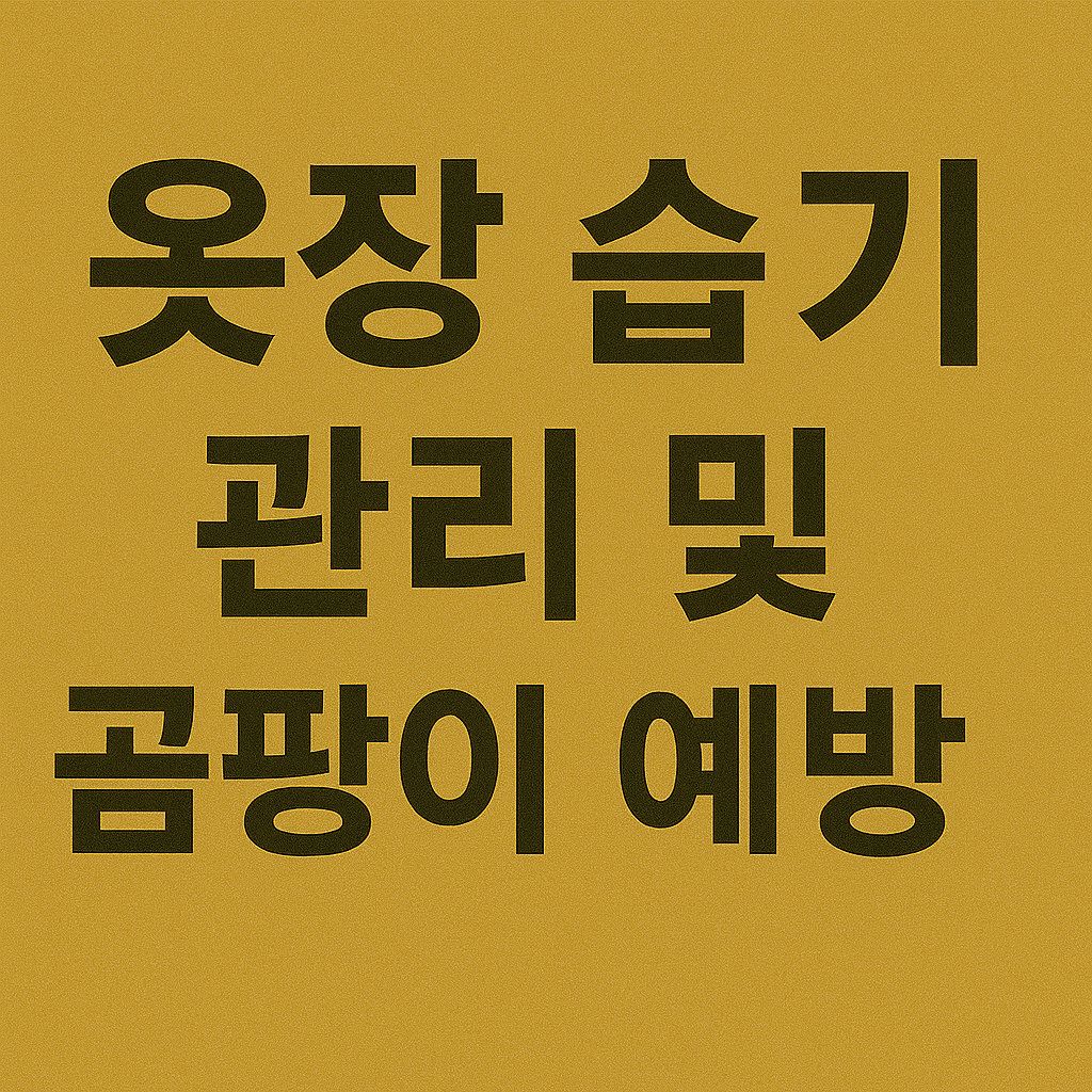 옷장 습기 관리 및 곰팡이 예방