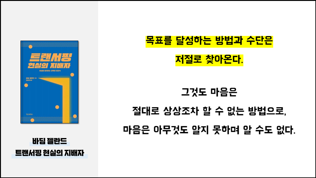 바딤 젤란드 트랜서핑 시리즈 총정리 - 트랜서핑 현실의 지배자 핵심 내용 안내 이미지