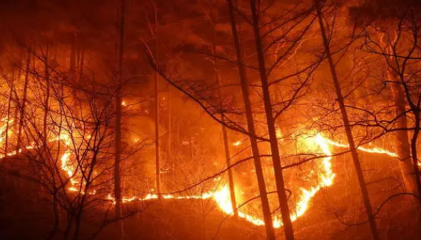 산불상황