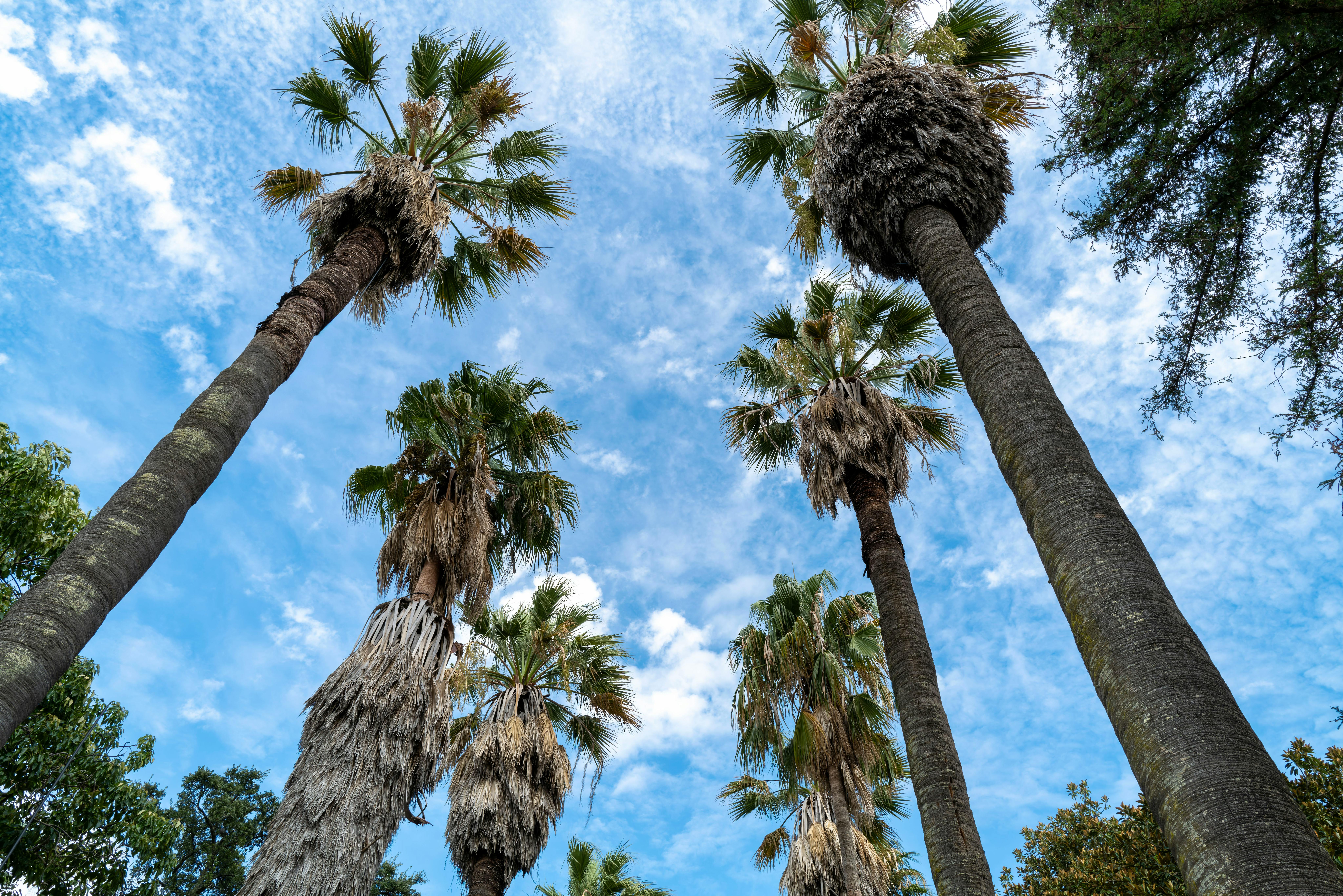 쌍둥이와 성장을 상징하는 이미지