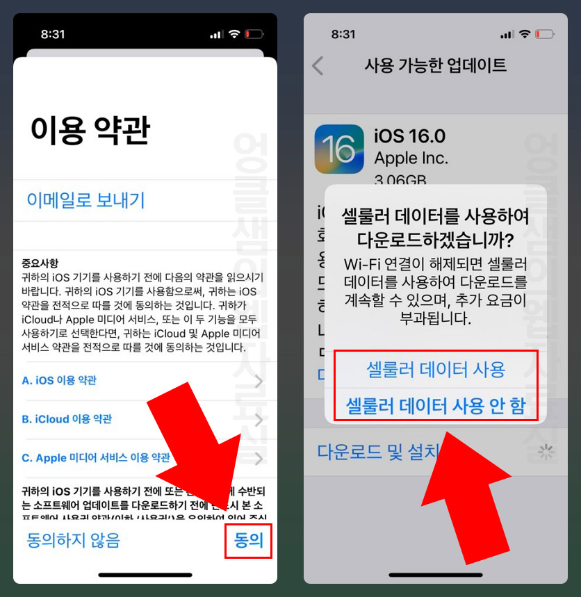 아이폰 소프트웨어 업데이트 설치