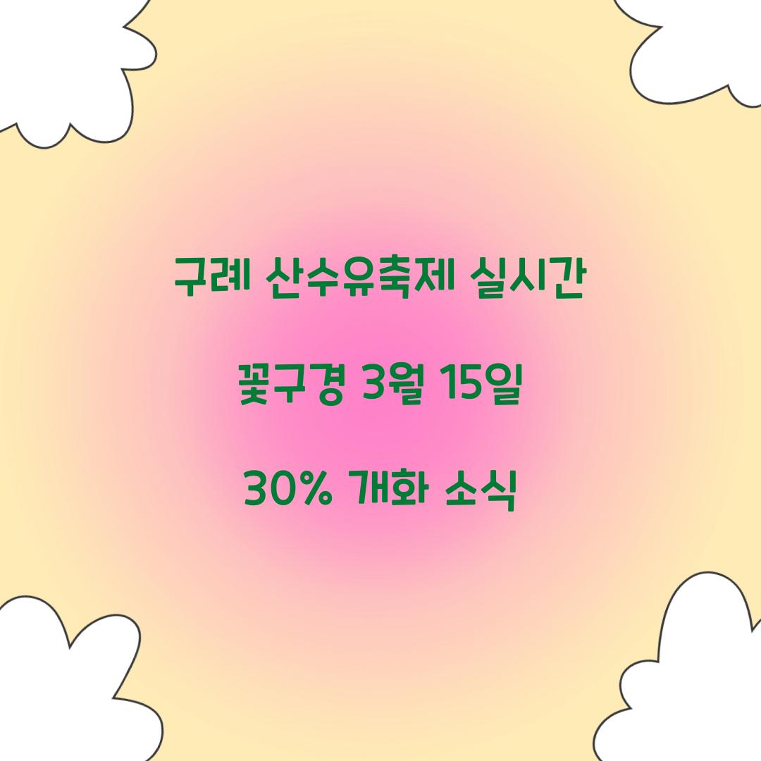 구례 산수유축제