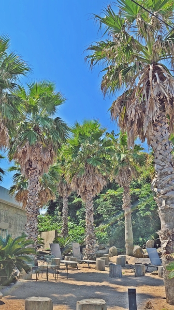 제주-종달리-해안도로-카페-꼬스뗀뇨