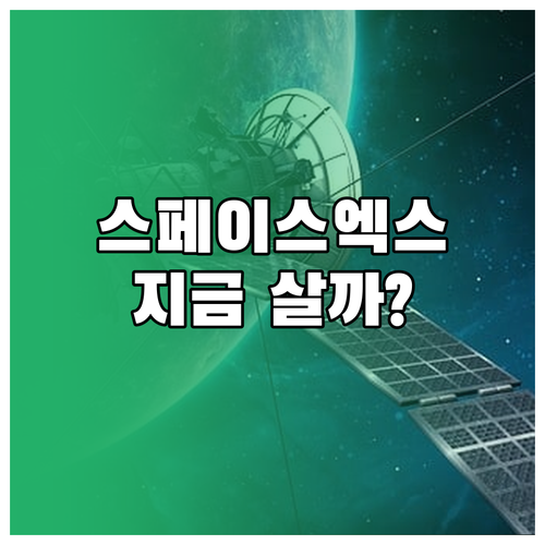 스페이스엑스 주식 사는 법 및 스타링..
