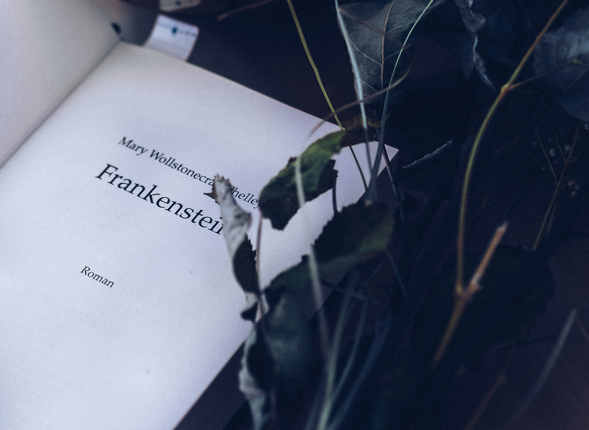 메리셀리의 프랑켄슈타인 책 표지