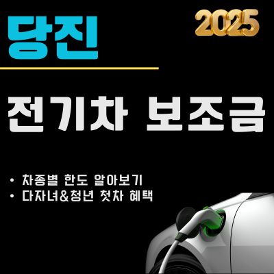 썸네일_당진 전기차 보조금 2025년 바뀐점 (최대한도, 지급대상 차종, 다자녀 및 청년 인센티브)