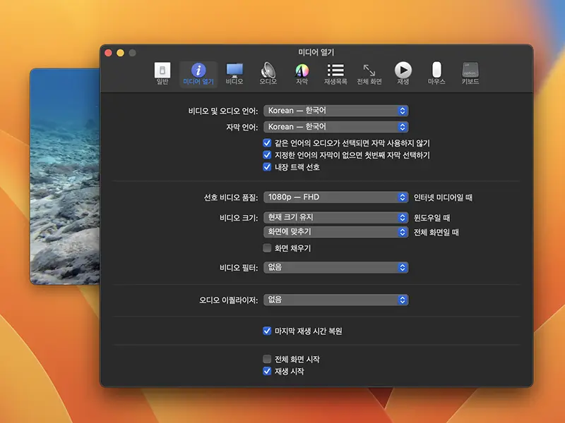 무비스트의 설정창