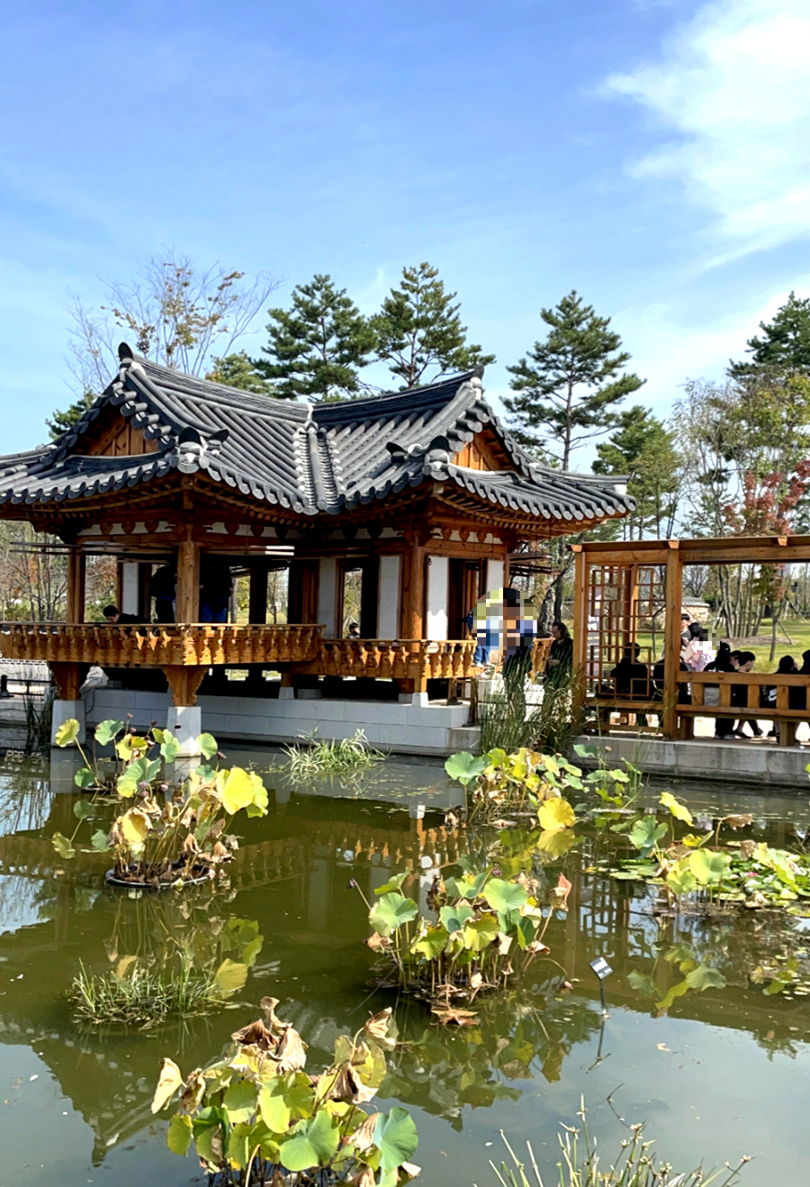 국립 세종수목원 한국전통정원 여행