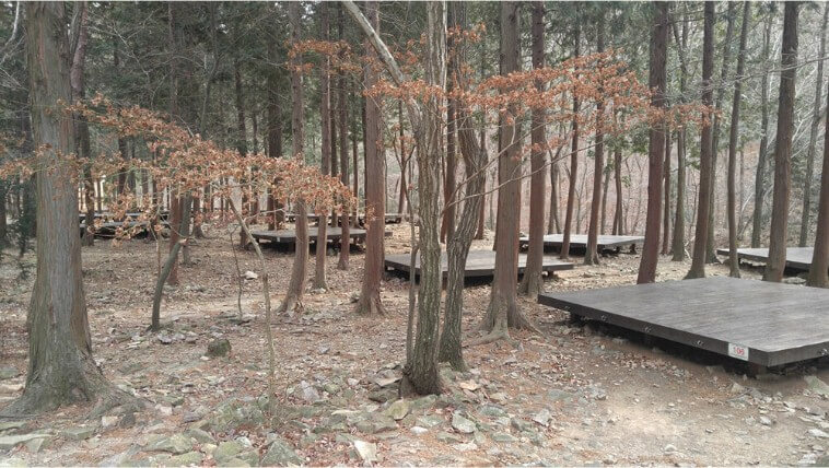 남해 편백자연휴양림 야영데크사진