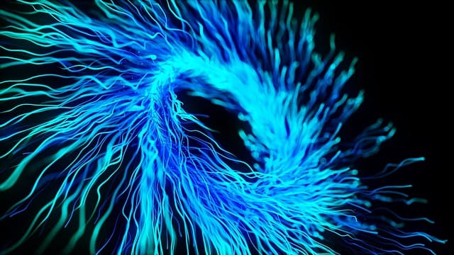 미생물 연료전지의 폐열 회수를 위한 열교환기 설계 및 최적화