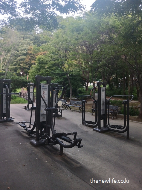 숲속 공원에 설치된 검정색 실외 운동기구들 – 뱃살 빼는 운동을 위한 근지구력 및 하체 강화에 적합한 기초체력 운동 환경